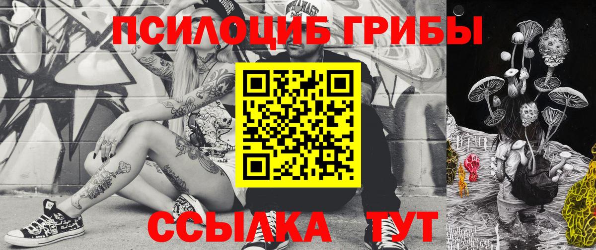 Галлюциногенные грибы MAGIC MUSHROOMS Советский