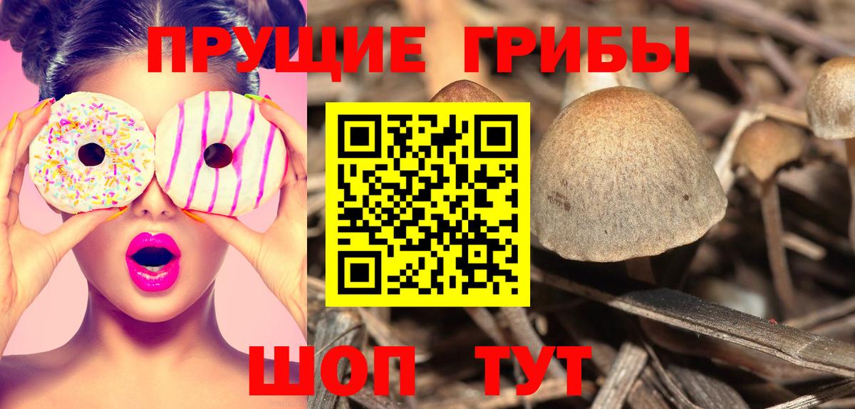 Галлюциногенные грибы мицелий  Вход с VPN  Советский 
